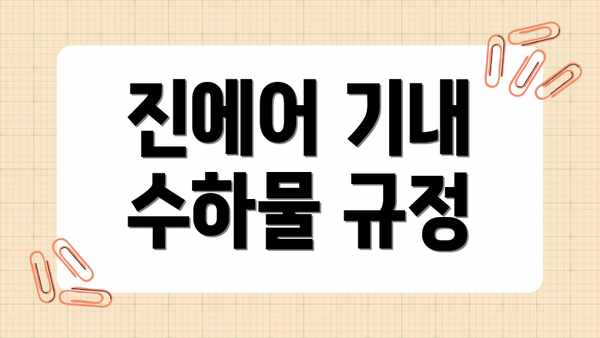 진에어 기내 수하물 규정